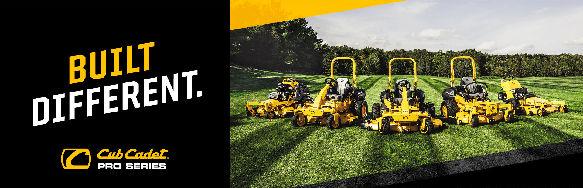 Desktop Slider Image